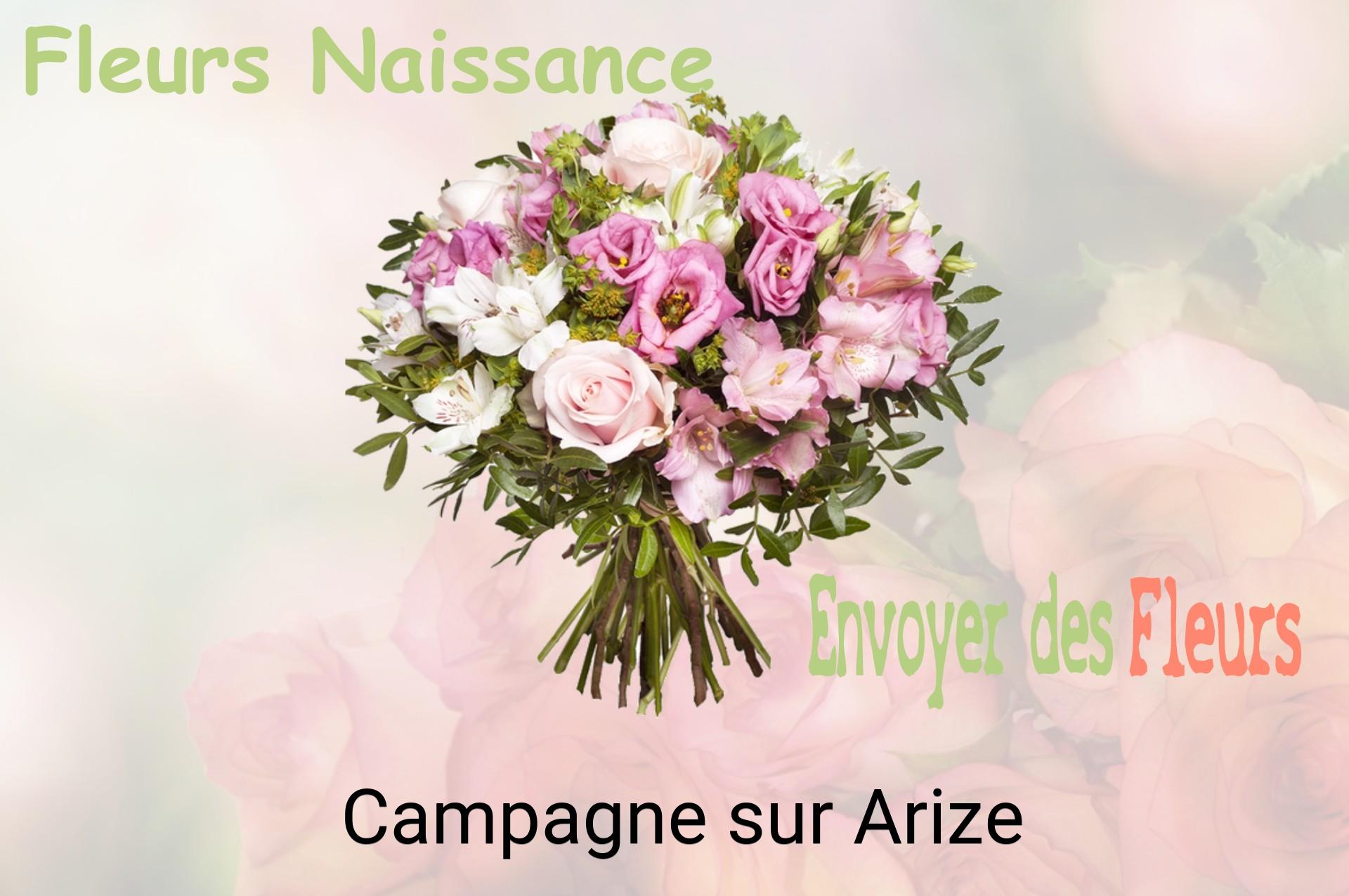 Bouquet de fleurs de naissance livré à Campagne-sur-Arize